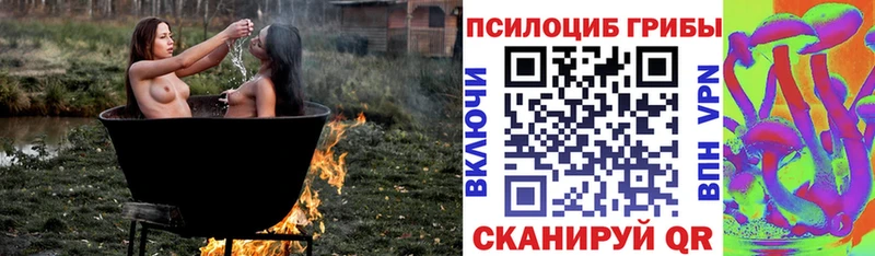 Галлюциногенные грибы прущие грибы Гремячинск